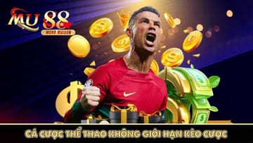 Sistema de apostas esportivas premium 8cassino